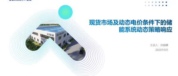 2023孙丽娜现货市场及动态电价条件下的储能系统动态策略响应