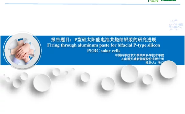 P型硅太阳能电池共烧结铝浆的研究进展