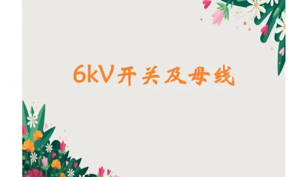 6kV开关及母线课件分析