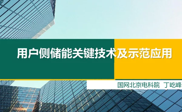用户侧储能关键技术及示范应用