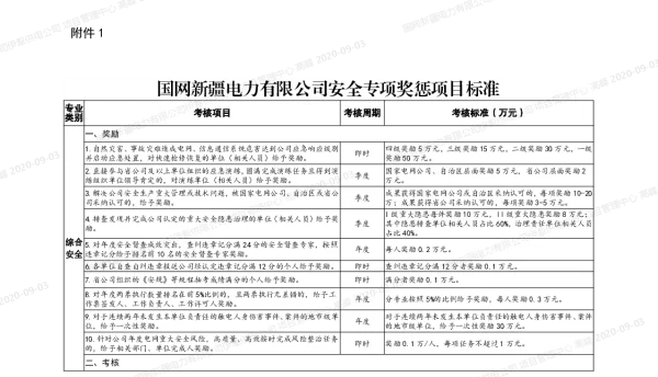 国网新疆电力有限公司安全专项奖惩项目标准
