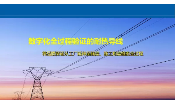 2022数字化全过程验证的耐热导线