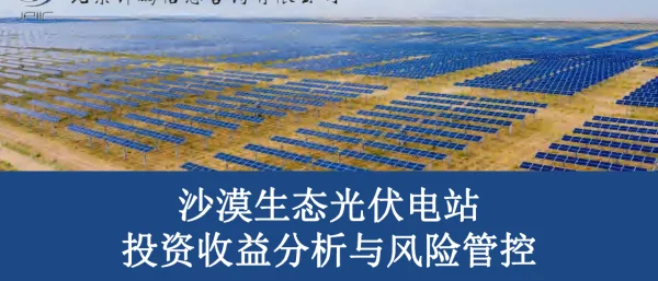 沙漠生态光伏电站投资收益分析与风险管控