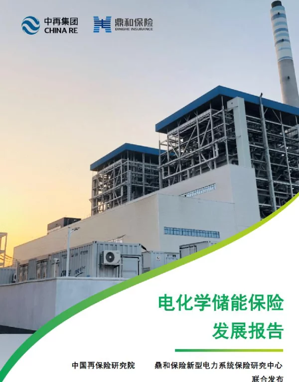 电化学储能保险发展报告.pdf