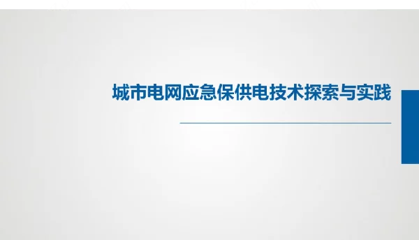 城市电网应急保供电技术探索