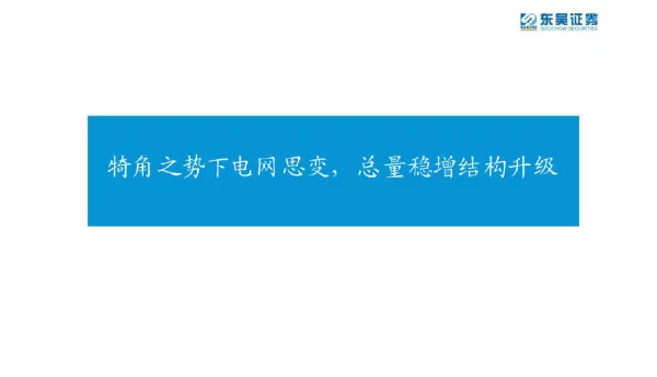 电力市场报告：电网、新型电力系统