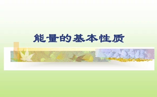 第二次课能量的转换和储存.