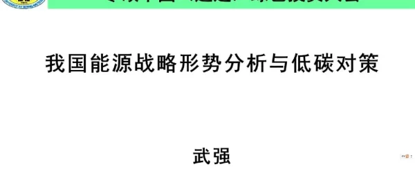 武强：中国能源战略形势分析与低碳对策