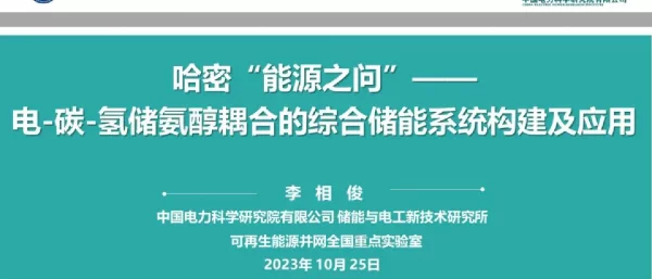 哈密“能源之问”——电-碳-氢储氨醇耦合的综合储能系统构建及应用