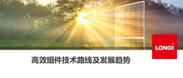 高效组件技术路线及发展趋势