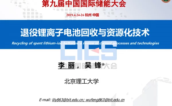 李丽-退役锂离子电池回收与资源化利用关键技术