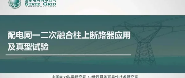 2024配电网一二次融合柱上断路器应用及真型试验