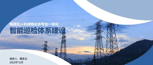 电网无人机网格化多专业一体化智能巡检体系建设应用