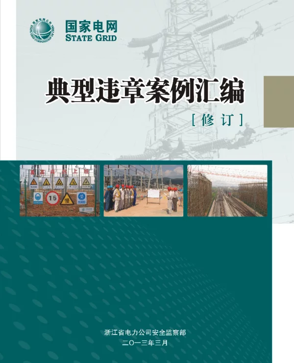 典型违章案例汇编2013-2-8（终稿）