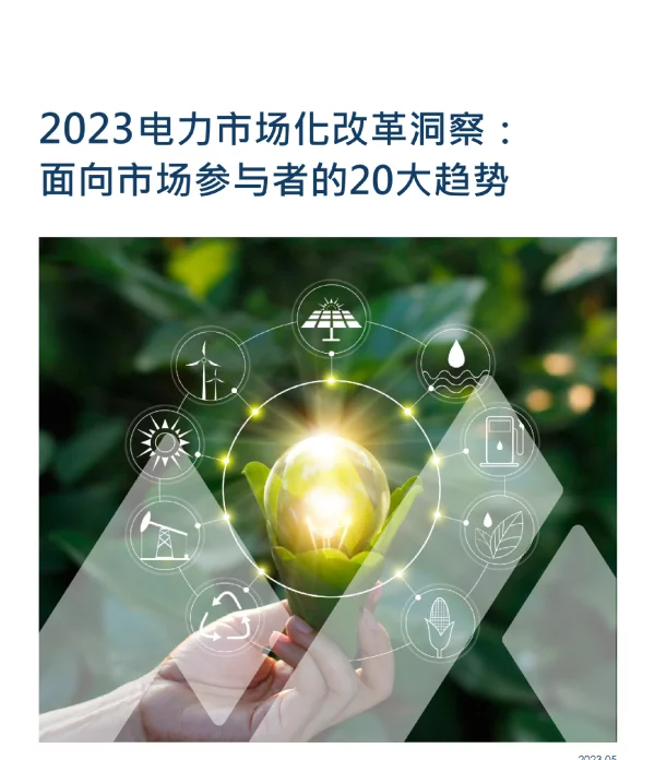 2023中国电力改革20大趋势