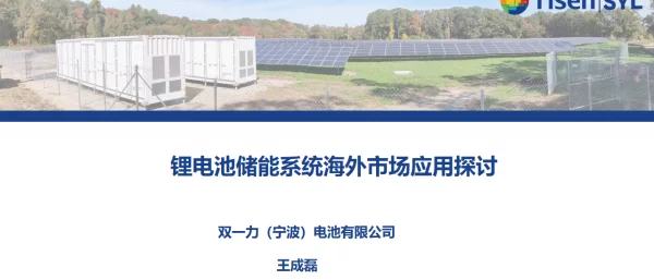 2023王成磊锂电池储能系统海外市场应用探讨0523