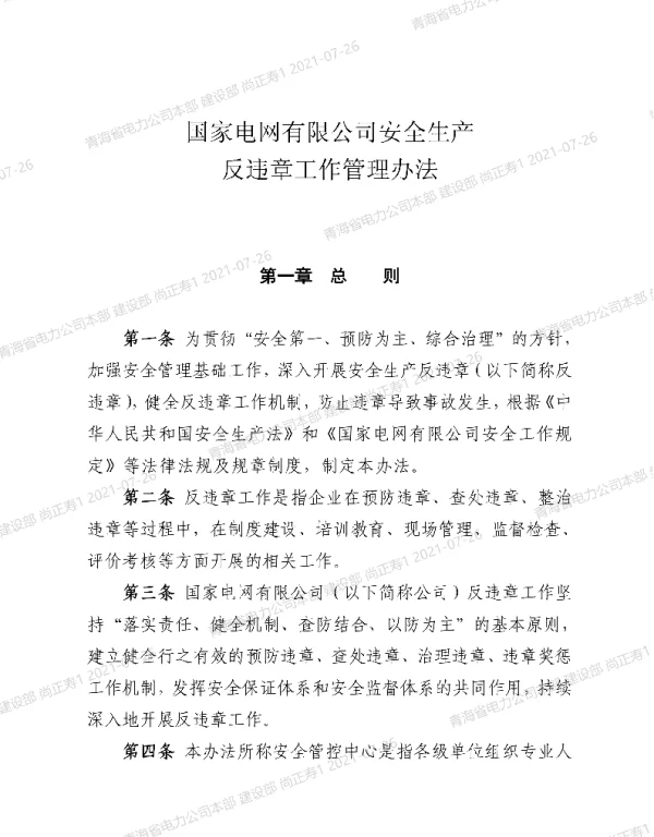 国家电网有限公司安全生产反违章工作管理办法安监二〔2021〕26号
