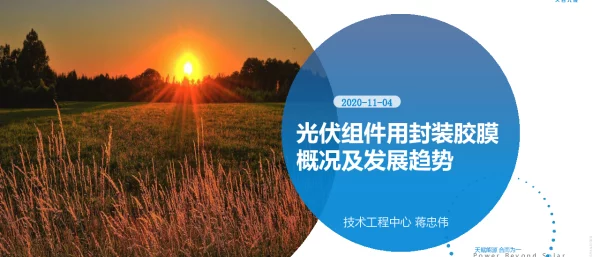 光伏组件用封装胶膜概况及发展趋势