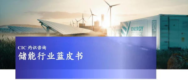 2023中国储能行业蓝皮书