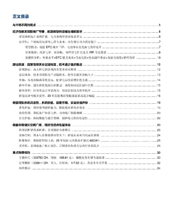碳中和至，储能风起