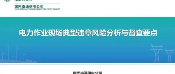 电力作业现场典型违章风险分析与督查要点