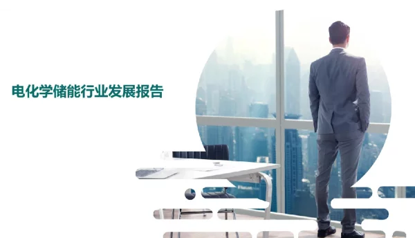 2022年电化学储能行业发展报告