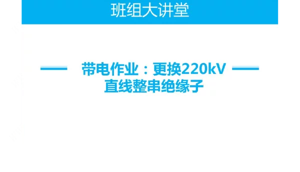 带电更换220kV直线绝缘子串