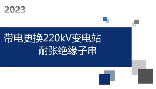 2023带电更换220kV变电站耐张绝缘子串交流