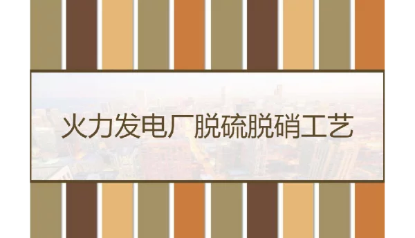 120页火力发电厂脱硫脱硝工艺