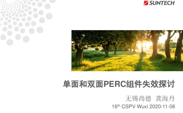 单面和双面PERC组件失效探讨
