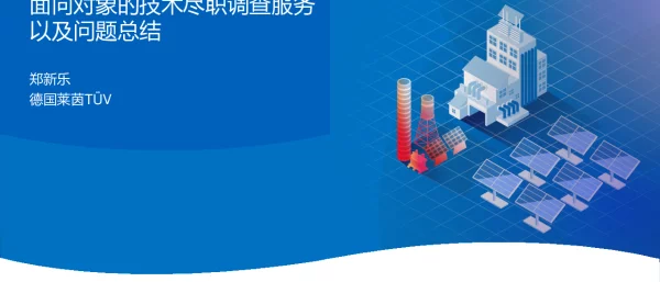 TUV莱茵，面向对象的技术尽职调查服务以及问题总结
