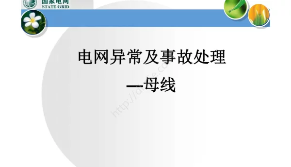 电网异常及事故处理—母线
