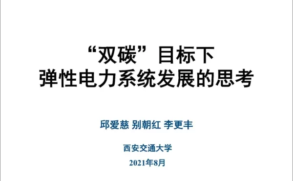 邱爱慈：“双碳”目标下弹性电力系统发展的思考
