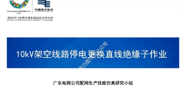 10kV架空线路停电更换直线绝缘子作业