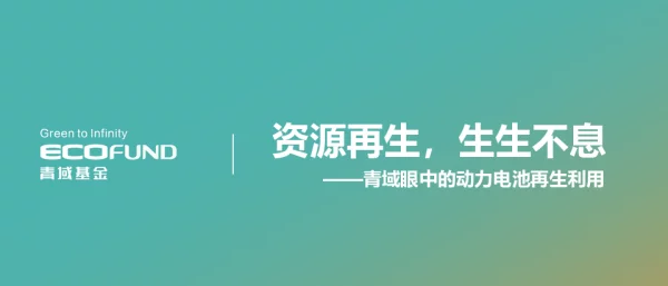 鲁志恺-资源再生，生生不息——青域眼中的动力电池再生利用1.5